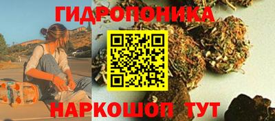 винт Дубна