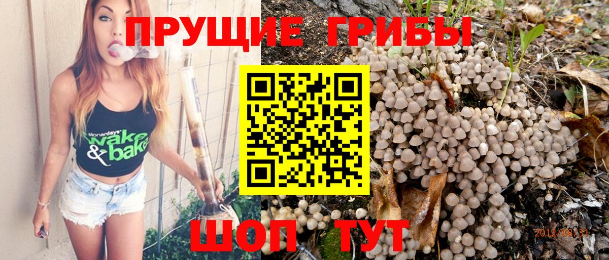 Псилоцибиновые грибы Magic Shrooms Балтийск