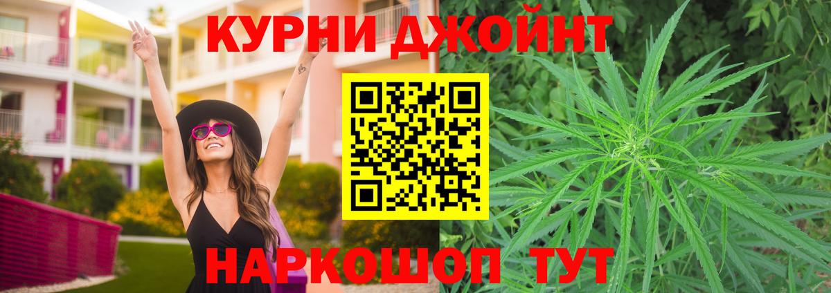 Канабис сатива Балтийск